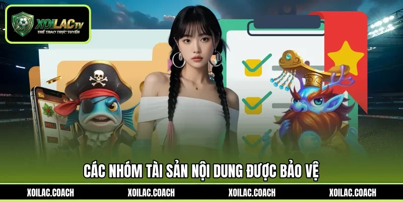 Các nhóm tài sản nội dung được bảo vệ Các nhóm tài sản nội dung được bảo vệ