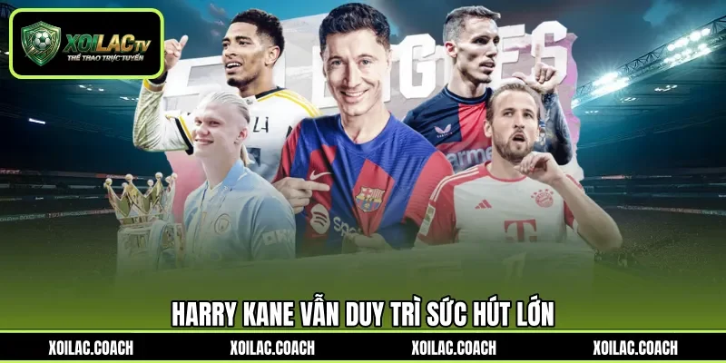 Harry Kane vẫn duy trì sức hút lớn Harry Kane vẫn duy trì sức hút lớn