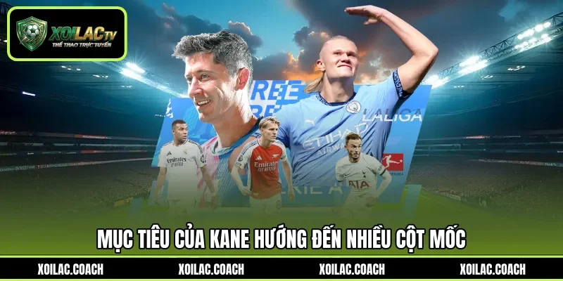 Mục tiêu của Kane hướng đến nhiều cột mốc Mục tiêu của Kane hướng đến nhiều cột mốc