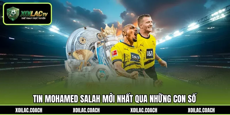 Tin Mohamed Salah mới nhất qua những con số Tin Mohamed Salah mới nhất qua những con số